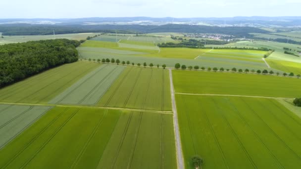 Superficie agricole - vue aérienne — Video