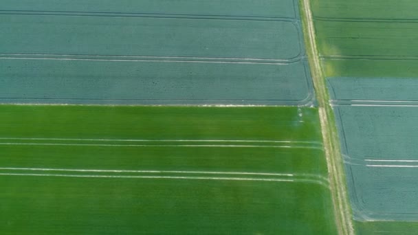 Superficie agricole - vue aérienne — Video
