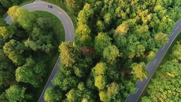 Vista aérea de un camino a través del bosque — Vídeos de Stock