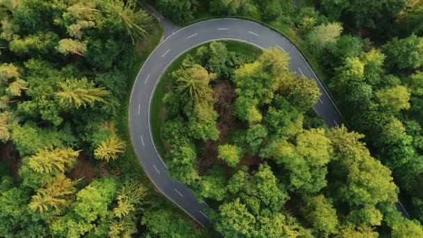 Vista aérea de un camino a través del bosque — Vídeos de Stock