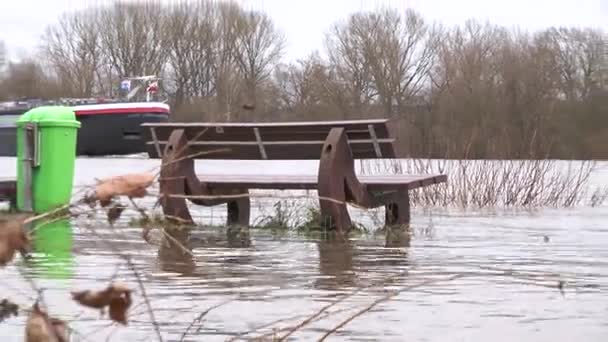 Πλημμύρες Στο Ρήνο Ούστριχβινκελ Γερμανία Που Προκαλούνται Από Ακραίες Βροχοπτώσεις — Αρχείο Βίντεο