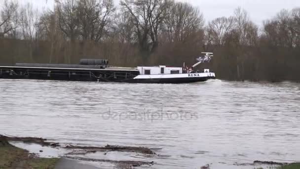 Oestrich Winkel Duitsland Januari 2018 Overstroming Rivier Rijn Oestrich Winkel — Stockvideo