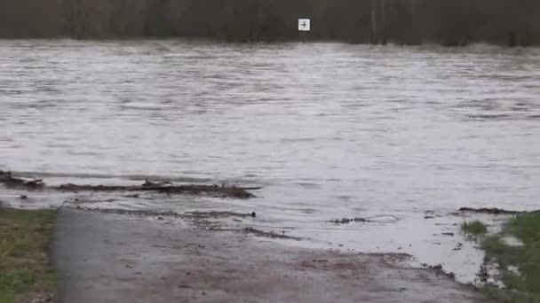 Ren Nehri Oestrich Winkel Almanya Tarafından Aşırı Yağış Nedeniyle Sel — Stok video