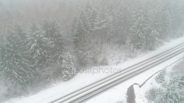 Vue Aérienne Une Route Enneigée Traversant Une Forêt Hivernale — Video