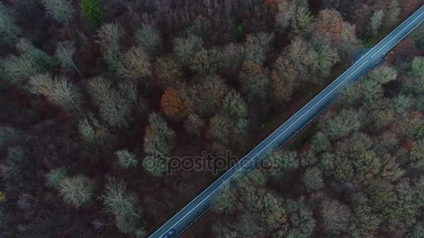 Carretera Tráfico Través Del Bosque Otoñal Vista Aérea — Vídeo de stock