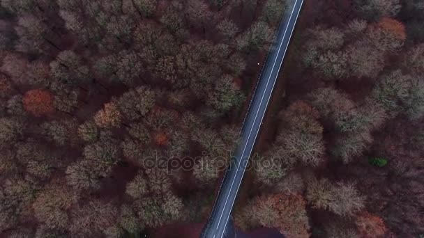 Δρόμο Και Την Κυκλοφορία Μέσα Από Φθινοπωρινό Δάσος Αεροφωτογραφία — Αρχείο Βίντεο
