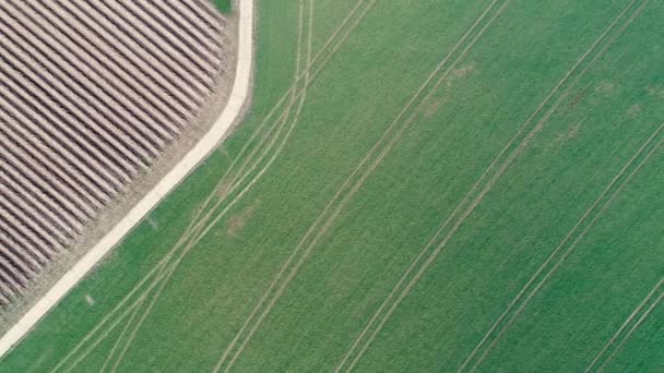 Superficie Agrícola Vista Aérea — Vídeos de Stock