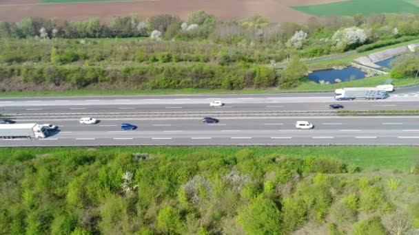 Weiblich Germany April 2018 Dense Traffic German Highway Nearby Wiesbadener — Stock Video