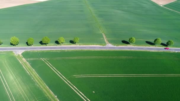 Vista Aérea Callejón Zona Agrícola — Vídeos de Stock