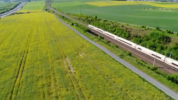 Werschau Germany May 2018 German Ice Highspeed Train Passing Frankfurt — Stock Video