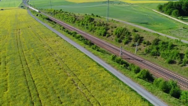 Werschau Tyskland Maj 2018 Tyska Ice Highspeed Tåg Förbi Linjen — Stockvideo