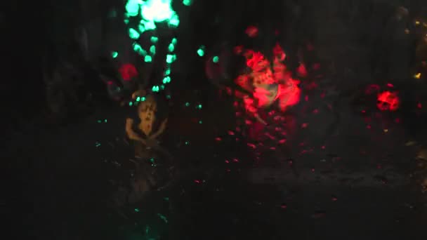在街上开车 透过湿淋淋的挡风玻璃看交通灯和车辆 — 图库视频影像