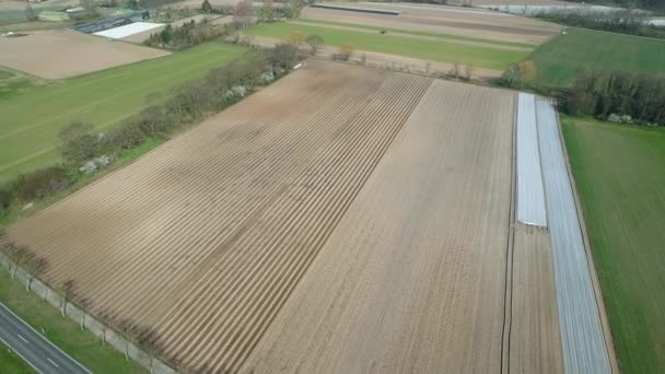 Aerial View Agricultural Area — Stock Video