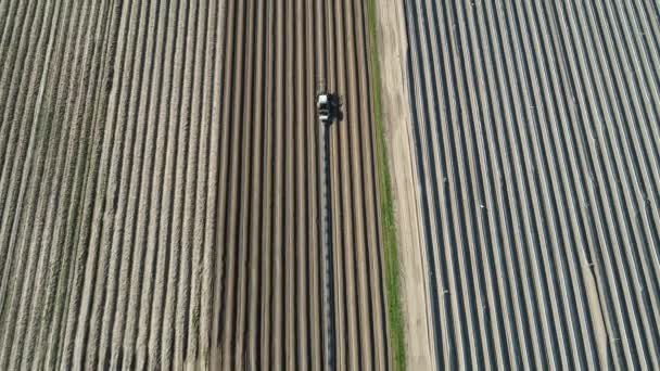 Campos Espargos Colheita Vista Aérea — Vídeo de Stock