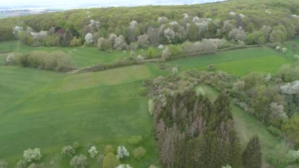 Aerial View Meadows Treetops Spring Drone Footage — Stock Video