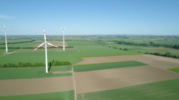 Wind Turbines Agricultural Area Aerial View Drone Footage — Stock Video
