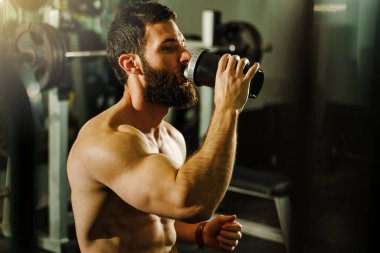 Side view portrait of young muscular caucasian man bodybuilder shirtless male sitting in dark gym holding protein supplement shaker drinking supplementation in training waist up black hair and beard clipart