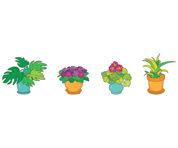 Houseplants in colour pots — Stock Vector
