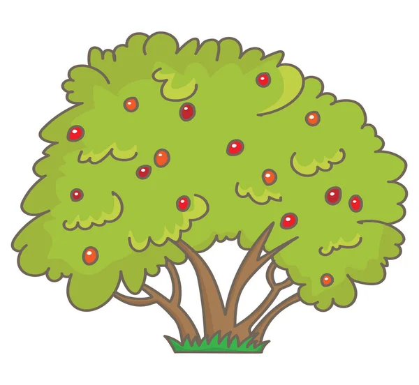 Arbust cu fructe de padure — Vector de stoc