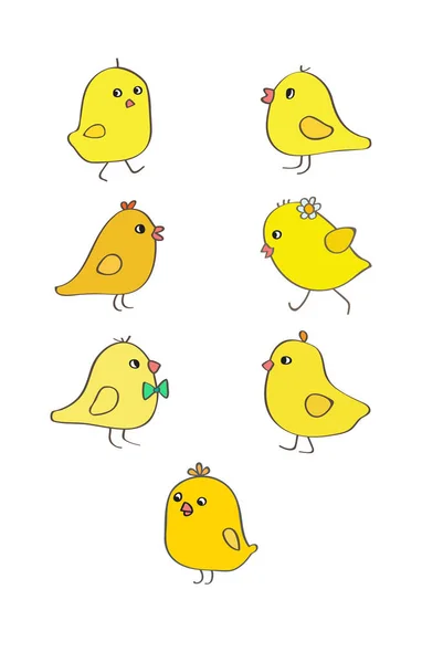 Seven yellow chickens — Stock Vector