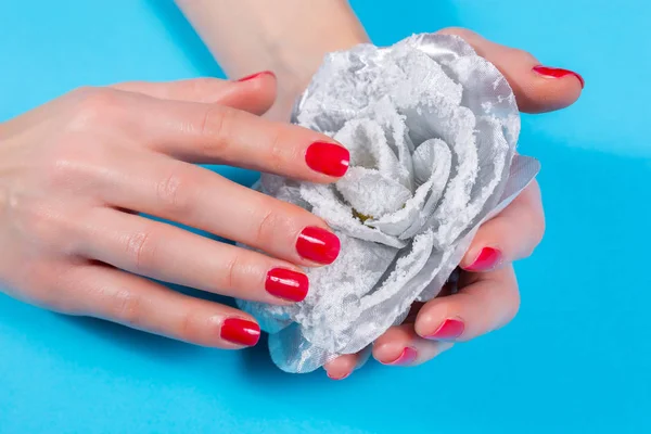 Mão Feminina Segurando Ornamento Branco Subiu Com Neve Isolada Fundo — Fotografia de Stock