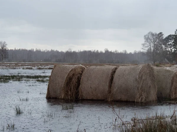 Sheaves of hay sunk in the water after pouring the river