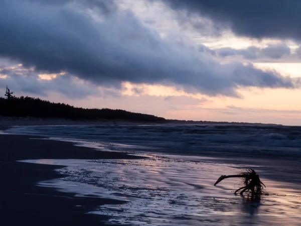 Захід Сонця Пляжі Чудовий Морський Краєвид Лебі Балтійське Море — стокове фото