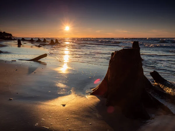 Troncos Muertos Árboles Descubiertos Por Mar Durante Puesta Del Sol — Foto de Stock