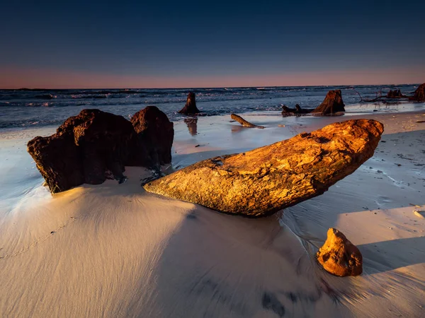 Gün batımında deniz kenarında ölü gövdeler ve ağaçlar ortaya çıkarıldı. Çek Cumhuriyeti, Baltık Denizi, Polonya. Uzun pozlu fotoğrafçılık.