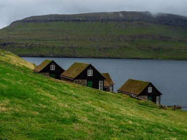 Faroe Adaları. Çimenlerle kaplı tipik evlere bak.