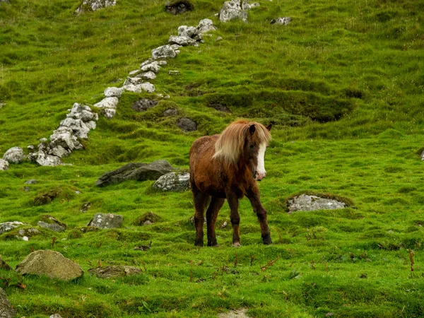 Faroe Adaları Kirkjubour Köyünün Tepelerindeki — Stok fotoğraf