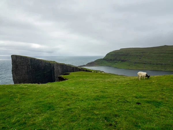 Faroe Adaları Vagar Adası Ndaki Tralanpan Veya Slave Uçurumları Önde — Stok fotoğraf