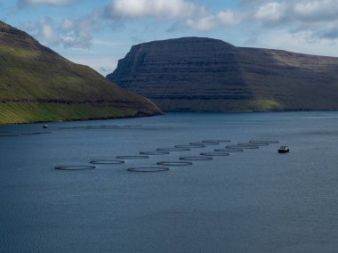 Faroe Adaları. Fiyorttaki balık çiftlikleri..