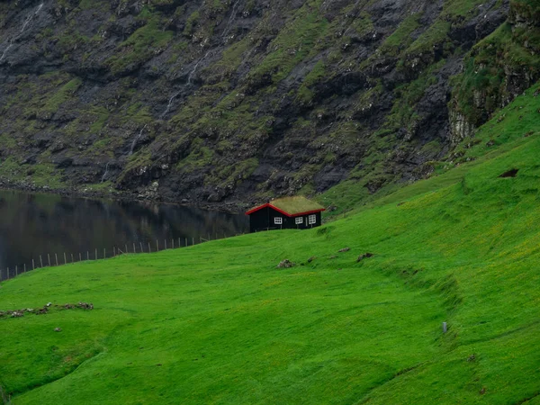 Isole Faroe Campi Erbosi Verdi Tradizionale Casa Con Tetto Erba — Foto Stock