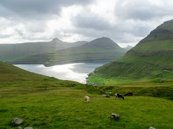 Isole Faroe Vista Sulla Baia Funnings Kommuna Campi Erbosi Verdi — Foto Stock