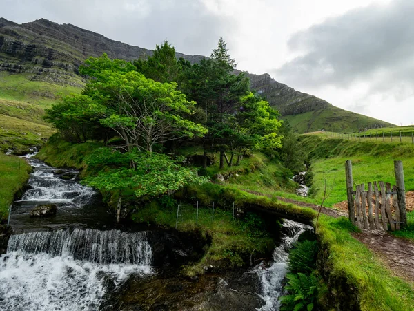 Faroe Adaları, Kunoy. Adadaki tek orman. İnsan yapımı. Giriş ve nehir yanından akıyor. Faroe Adaları.
