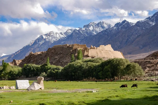 Ruína Cidade Pedra Tashkurgan Pastagem Verde Primeiro Plano Montanhas Fundo — Fotografia de Stock