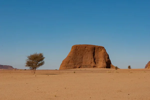 Formaciones Rocosas Naturales Árboles Secos Chad África — Foto de Stock