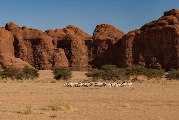 Природні Скелі Чад Африка — стокове фото