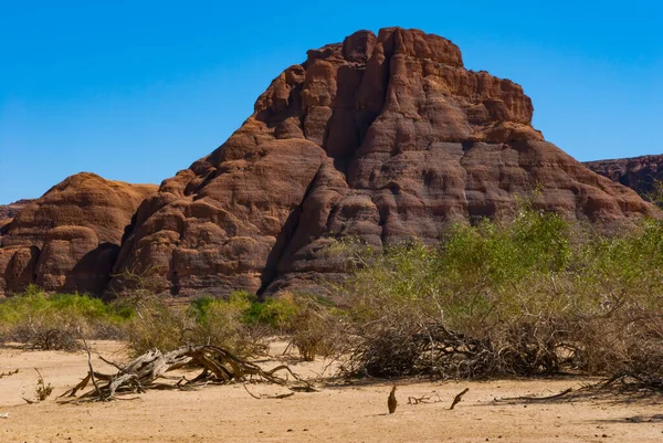 Formaciones Rocosas Naturales Árboles Secos Chad África — Foto de Stock