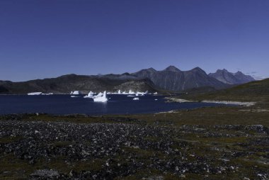 Yüzen buzdağları körfezde. Uzak dağlarda görülebilir. Mavi gökyüzü. Grönland.