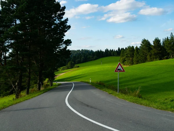 Dik yol boş, araba yok. Güneşli bir gün.