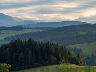 Dağ sisle kaplı. Tatra Dağları, Polonya