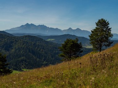 Spisz dağlarının üzerinden Tatra dağlarına, Polonya 'ya güzel bir yaz manzarası