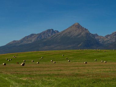 Polonya 'nın Tatra dağlarına saman demetleriyle Spisz dağları üzerinde güzel bir yaz manzarası.