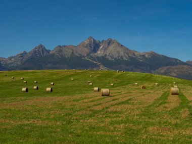 Polonya 'nın Tatra dağlarına saman demetleriyle Spisz dağları üzerinde güzel bir yaz manzarası.
