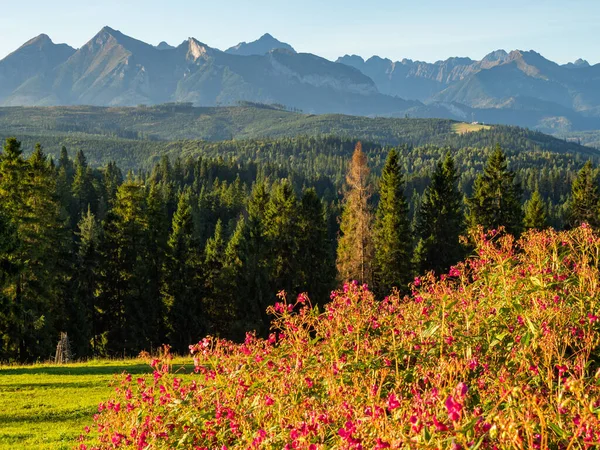 Pohled Tatry Časných Ranních Hodinách Letní Čas Polsko — Stock fotografie