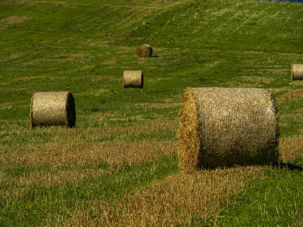 Szénaboglyák Mezőn Nyár Végén — Stock Fotó