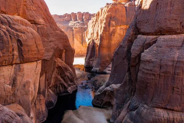 Agujero Guelta Archei Cerca Del Oasis Camellos Dringing Woater Meseta — Foto de Stock