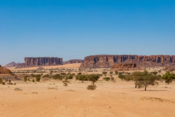 Кам Яна Формація Пустельна Рослинність Сахара Чад Африка — стокове фото